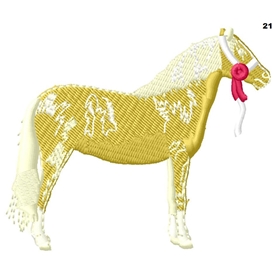 Welsh Pony 21